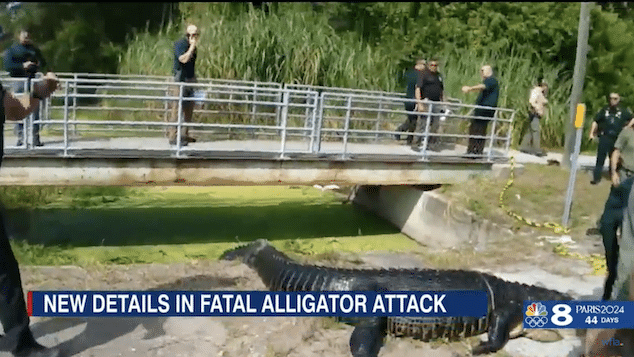 Sabrina Peckham, Largo homeless woman killed in alligator attack